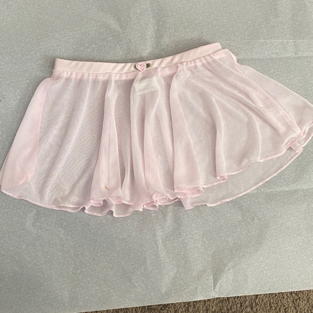 Danskin Now Light Pink Sheer Skirt